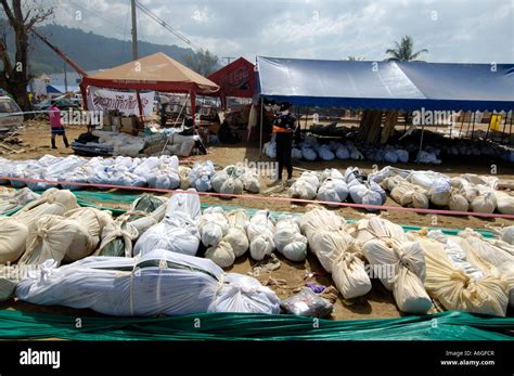 Related Keywords & Suggestions for thailand tsunami