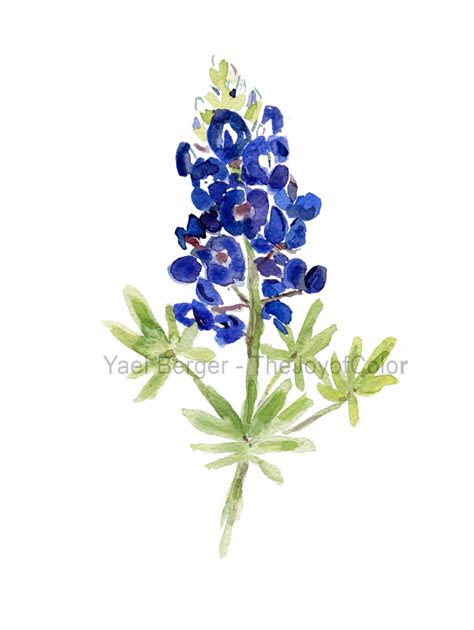 Free Blue Bonnets Cliparts, Download Free Blue Bonnets Cliparts png ...