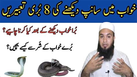 خواب میں سانپ دیکھنے کی تعبیر: Khawab men sanp dekhny ki tabeer. Snake ...