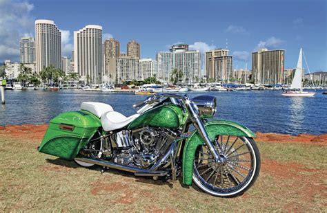 2013 Harley-Davidson Custom Softail Deluxe - Lei Low - Lowrider