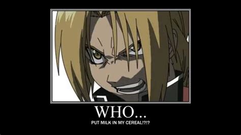 FMA pictures/memes (credit to the owners) | Fullmetal Alchemist Amino