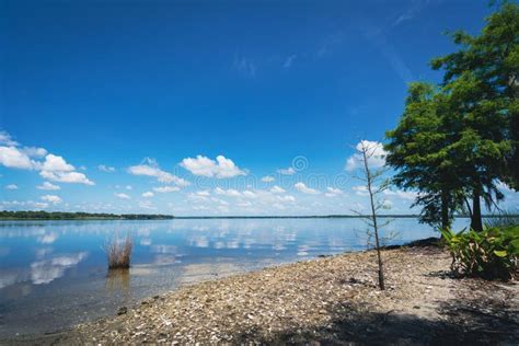 Lake Jesup Overlook Park Beach in Florida Stock Image - Image of mooring, beach: 246706977