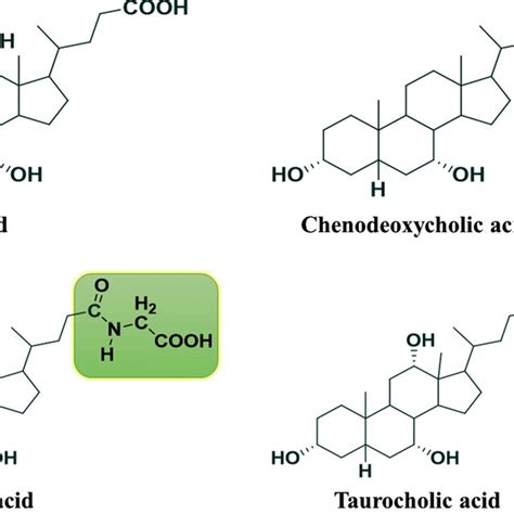 Common structures of important bile acids | Download Scientific Diagram