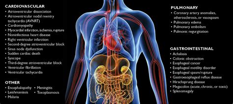 treatment of chagas disease Timeline showing the history of chagas ...