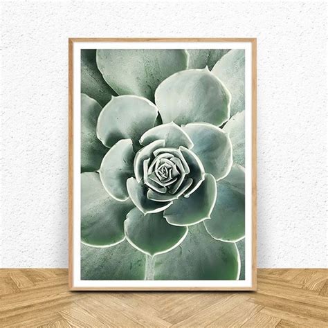 Succulent Wall Art - Etsy