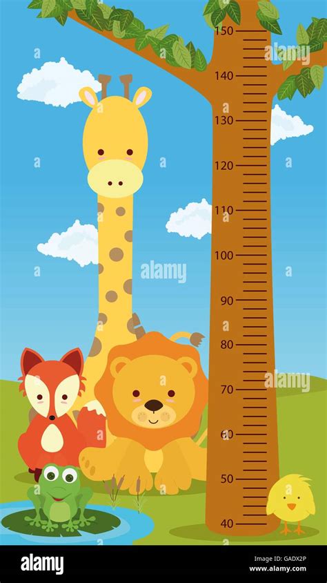 Height chart animals Stock Vector Image & Art - Alamy