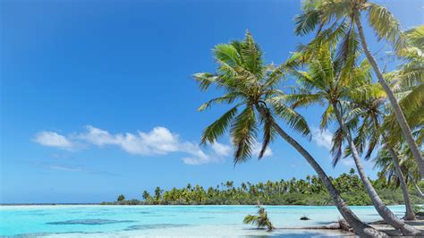 18 Polynesian Islands To Consider For Your Next Tropical Vacation