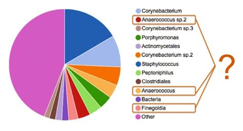 Belly Button Biodiversity – Your Wild Life