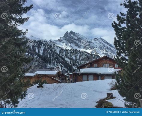 Swiss winter landscape stock photo. Image of cottages - 75369988