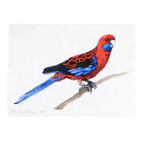 Crimson Rosella 2015 – Denise Faulkner Art Shop