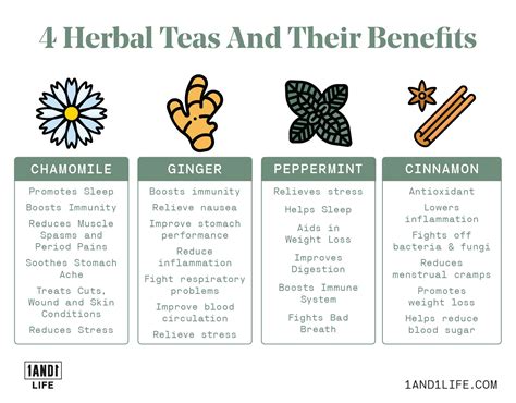 Herbal Tea Benefits: Best Type for Every Health Condition