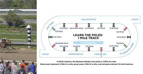 Pennsylvania Horse Racing — What to Expect at the Track