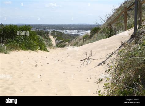 Cronulla Sand Dunes in Kurnell, New South Wales Stock Photo - Alamy