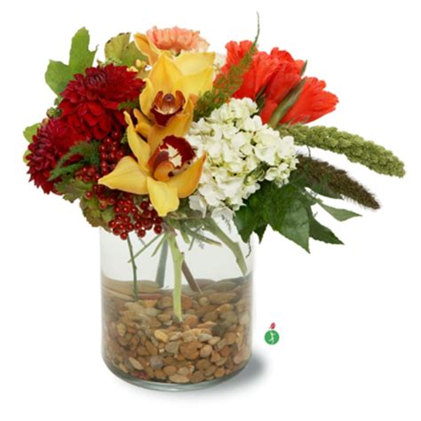 El Paso Florist | Flower Delivery by Not Just A Flower Shop