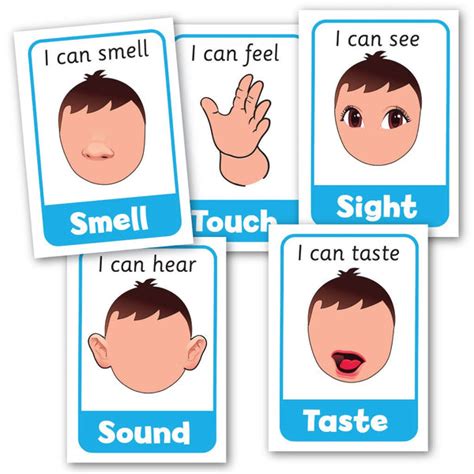 Five Senses Posters – Smart Kids AU