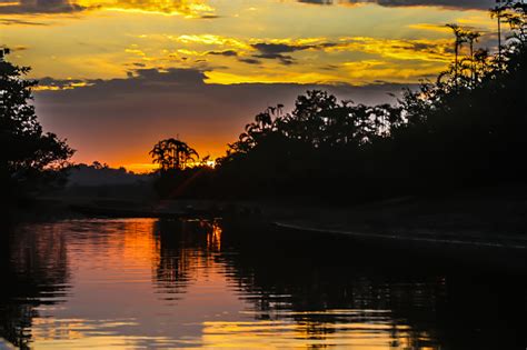 Incredible Sunrise In The Amazon Rainforest - Fotografie stock e altre immagini di Ambientazione ...