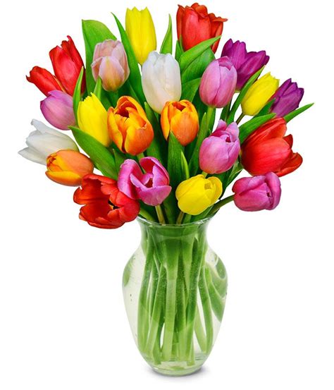 Rainbow Tulip Bouquet - 20 Stems at From You Flowers