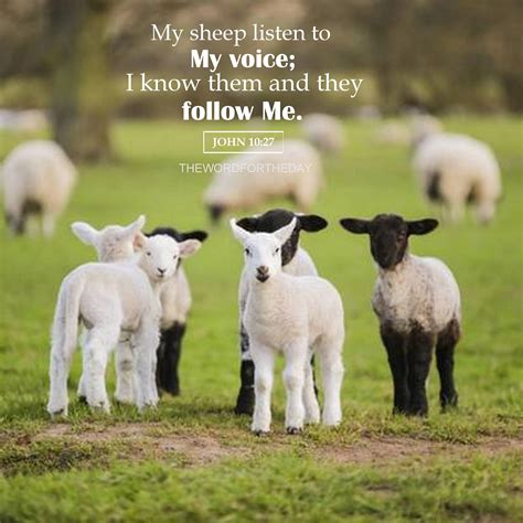 Quotes About Jesus Lamb - ADEN