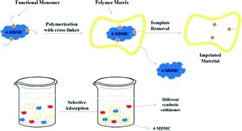 Synthesis, characterization, and evaluation of selective molecularly ...