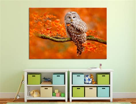 Colorful Photo of an Owl Wall Art Owl in the Wild Wall Decor - Etsy