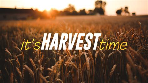 Sunday Worship – Harvest Thanksgiving 4th October 2020 – The Parish of ...