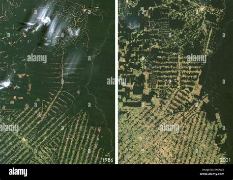 Satellite view of deforestation in East Rondonia, Brazil in 1986 and Stock Photo, Royalty Free ...