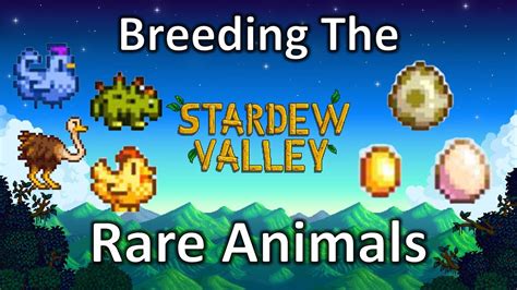 Stardew Valley - How to Breed the Rare Animals ? - YouTube