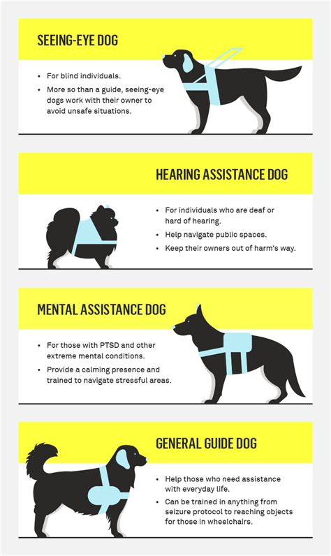 How To Train A Service Dog For Seizures - Service Dog Trainers National Service Dog Trainer List ...