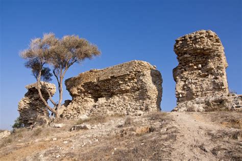 Ashkelon National Park stock photo. Image of tree, antique - 17182498