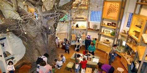 Top 7 Things to do at Children’s Museum in North Charleston | by Wingateinncharleston | Medium