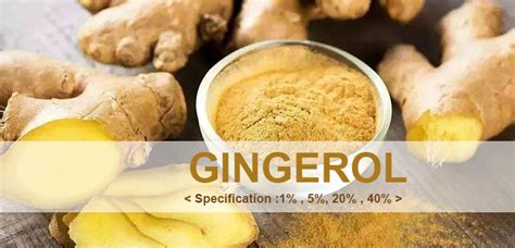 6-Gingerol 5% Yellow Ginger Root Bulk Ginger Extract Powder,China price supplier - 21food