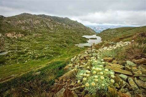 Kosciuszko National Park - Plan a Holiday - Mount Kosciuszko & Walks