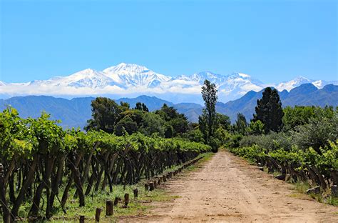 A Guide to Argentina’s Top Five Wine Regions – With Infographic - From The Vine