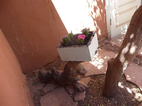 Former legs of a pool table | now pretty planter. Lions! | Flickr