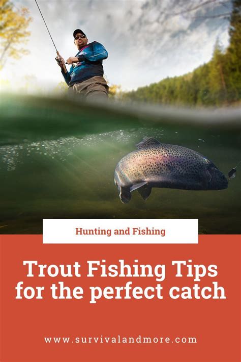 31 essential tips for fly fishing for trout – Artofit