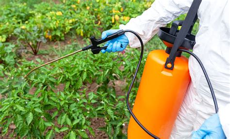 Alternatives au glyphosate : Jardinage plus sûr et durable