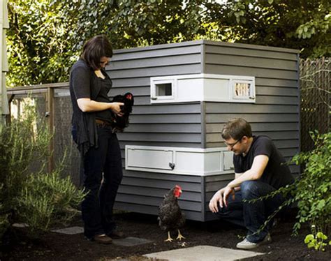 Modern Chicken Coop and Urban Farmers | Life of an Architect