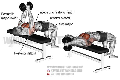 Dumbbell pullover exercise instructions and video | Weight Training Guide