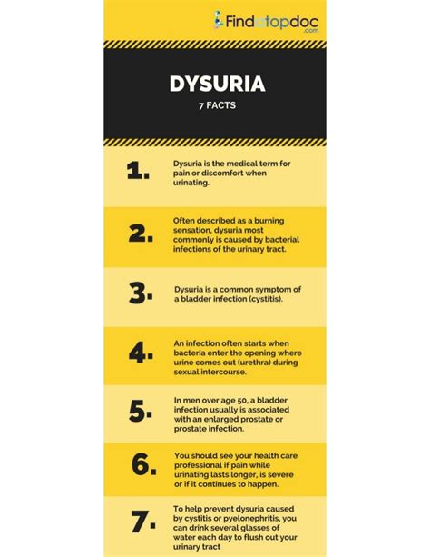 7 Facts About Dysuria Symptoms and Causes