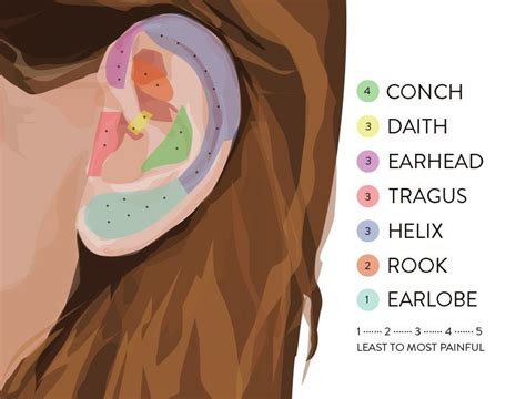 Double Ear Piercing & Ear Mapping - Where To Get Pierced | Goop | Second ear piercing, Ear ...