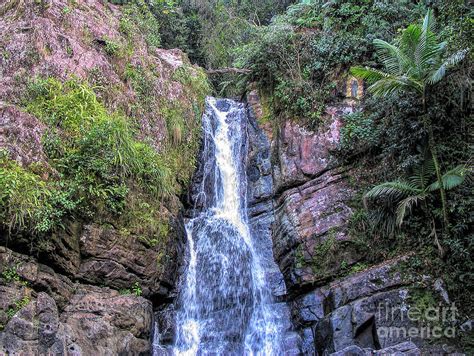 El Yunque Waterfall Photograph by Elisabeth Lucas - Fine Art America