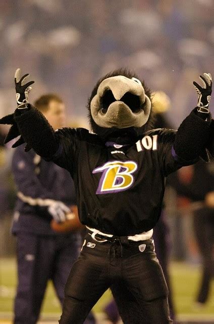 Baltimore Raven mascot 2007 | Raven mascot at M&T Bank Stadi… | Flickr