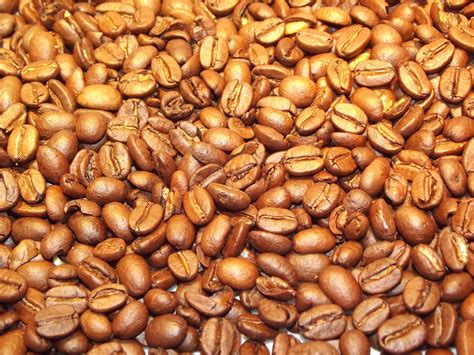 Golden Coffee Beans Free Stock Photo - Public Domain Pictures