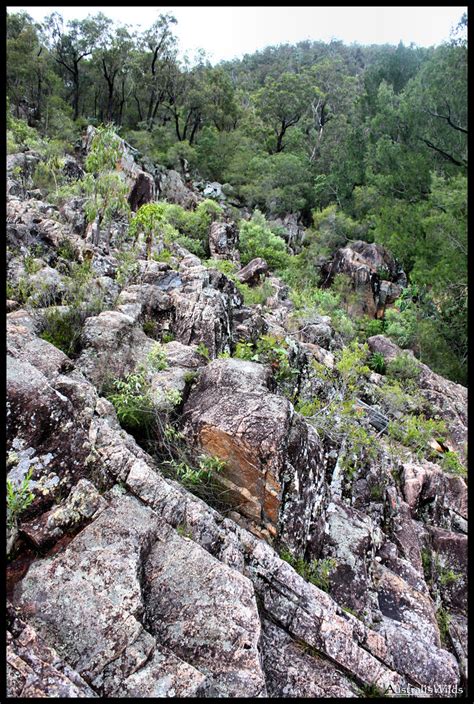 Brush Tailed Rock Wallaby Habitat | Around Kauyoo Falls. | Caleb McElrea | Flickr