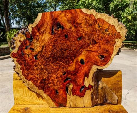 RARE! AMBOYNA BURL LUMBER Live Edge DIY Epoxy Resin Table Top Wood Natural Slab $280.00 - PicClick