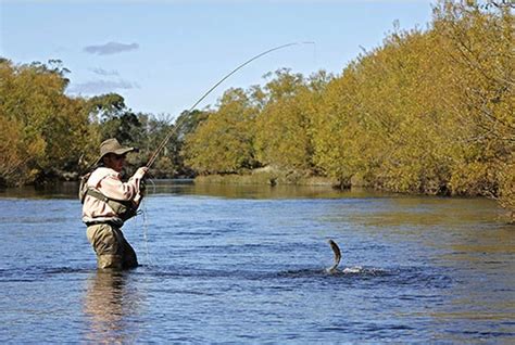 Discus: fishing river