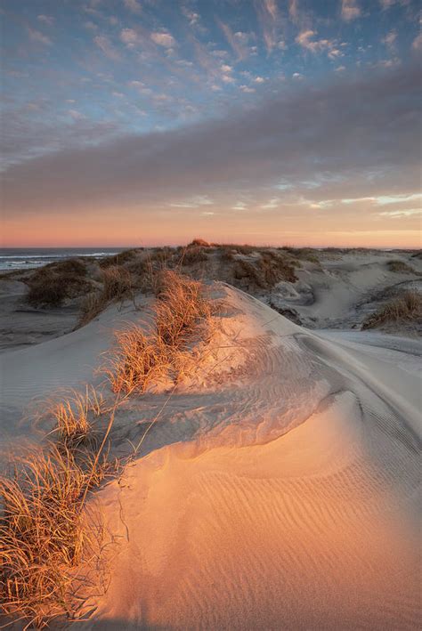 Pea Island National Wildlife Refuge Outer Banks OBX Photograph by Mark VanDyke | Fine Art America