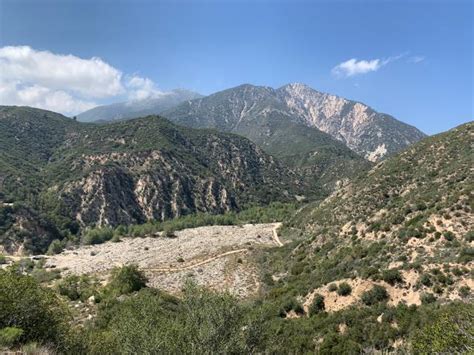 San Bernardino National Forest lands protected for rare plant species ...