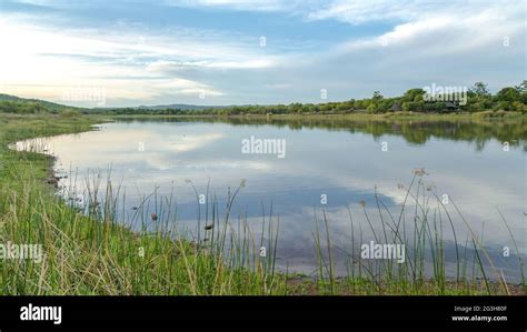 Mokolodi Nature Reserve Stock Photo - Alamy