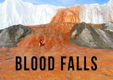 Blood Falls is a five-story blood-red waterfall leaking out of the ...